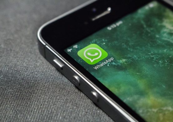 Saiba quando e como usar o WhatsApp Business no seu negócio